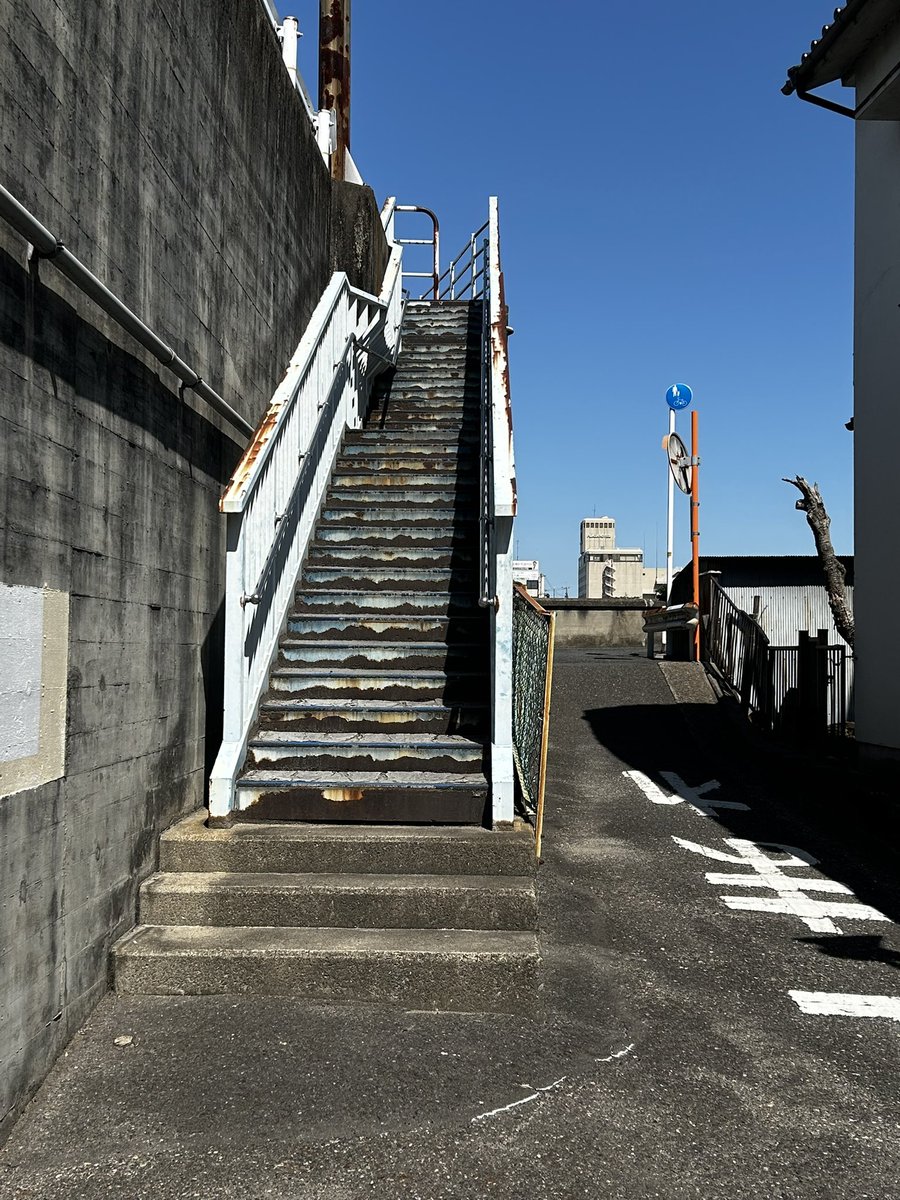 しのげし(shinogeshi) tweet media