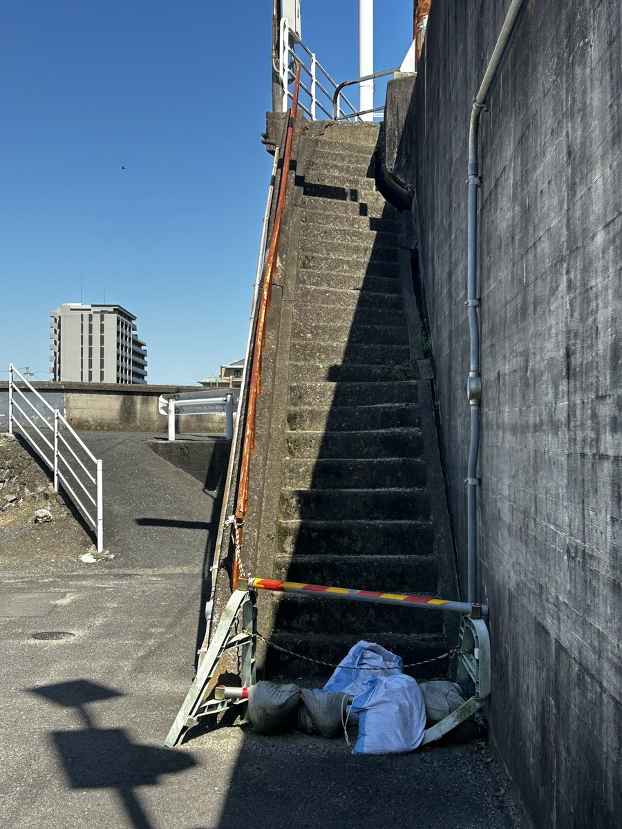 しのげし(shinogeshi) tweet media