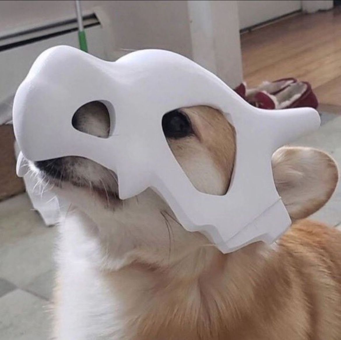 Retro Anime tweet media