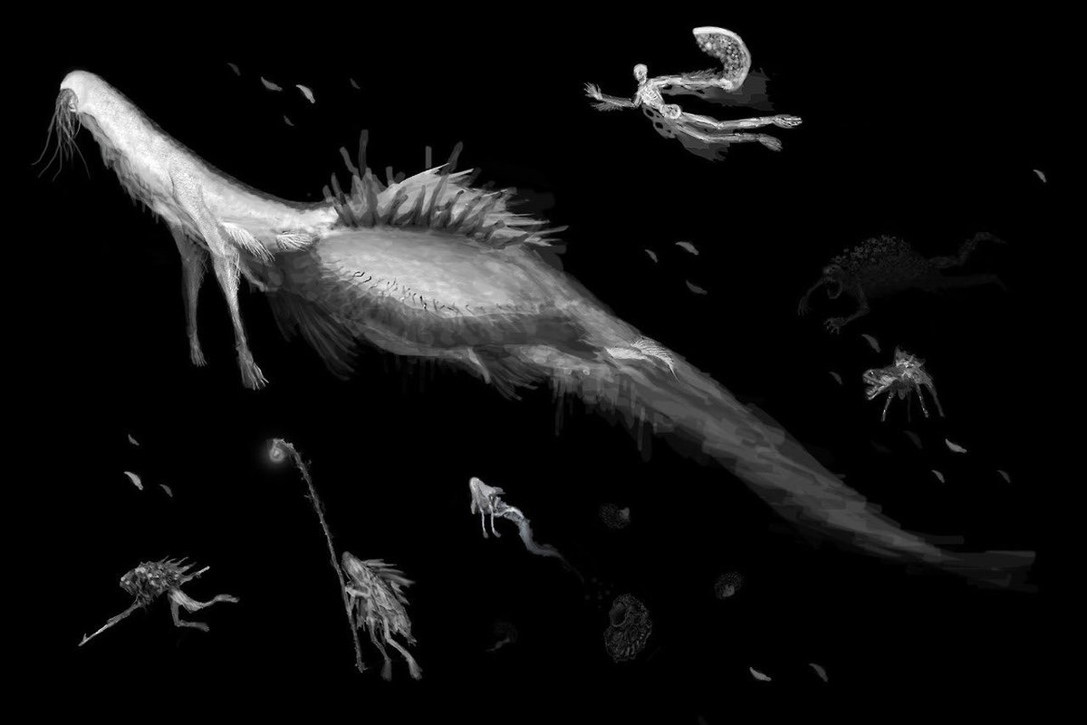 ladyCurri's tweet photo. Remained since the first awakening,
when souls intertwined beneath the tide
I watch you conceal yourselves within your own shadows
fleeing the ruin fashioned by your own hands
yet every path you take
inevitably returns to me.
-MotherKos
#Bloodborne #kos #MotherKos #KOSM https://t.co/zsMJjlHaLC