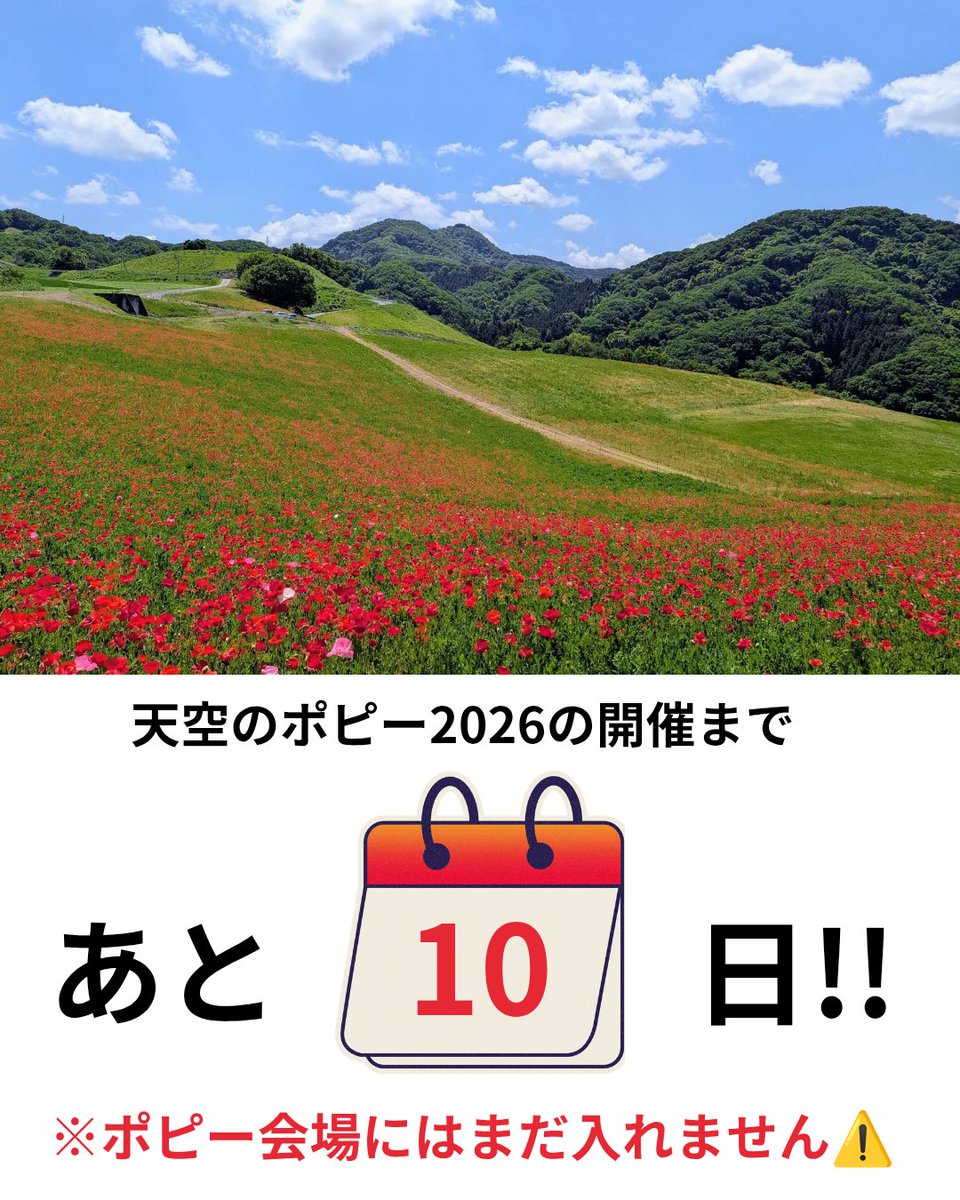 ✨️天空のポピー2026カウントダウン✨️

5/21（木）の開催まであと10日となりました!!
ポピーは順調に開花が進んでいます🌷

※イベント期間外はポピー会場に入場できませんのでご注意ください。
※また会場周辺における路上駐車は大変危険ですのでおやめください。