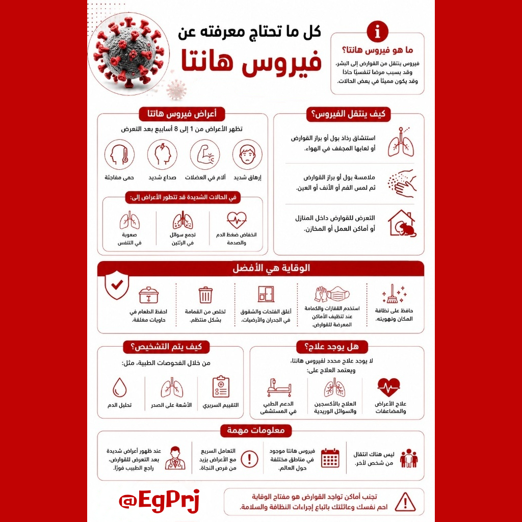 مشاريع مصر 🇪🇬 tweet media