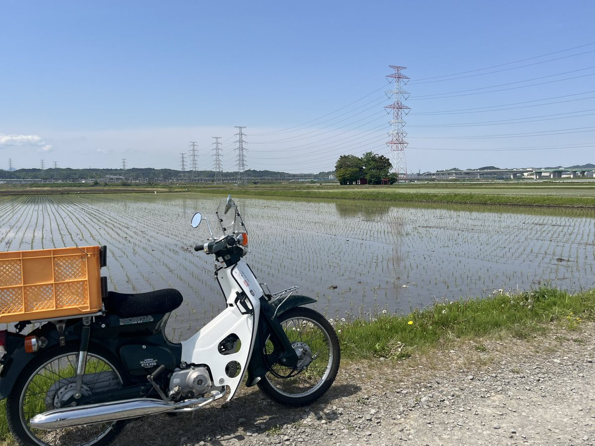カブ散歩🛵💨 水を張った田んぼが気持ちいい🥴 #スーパーカブ #C50