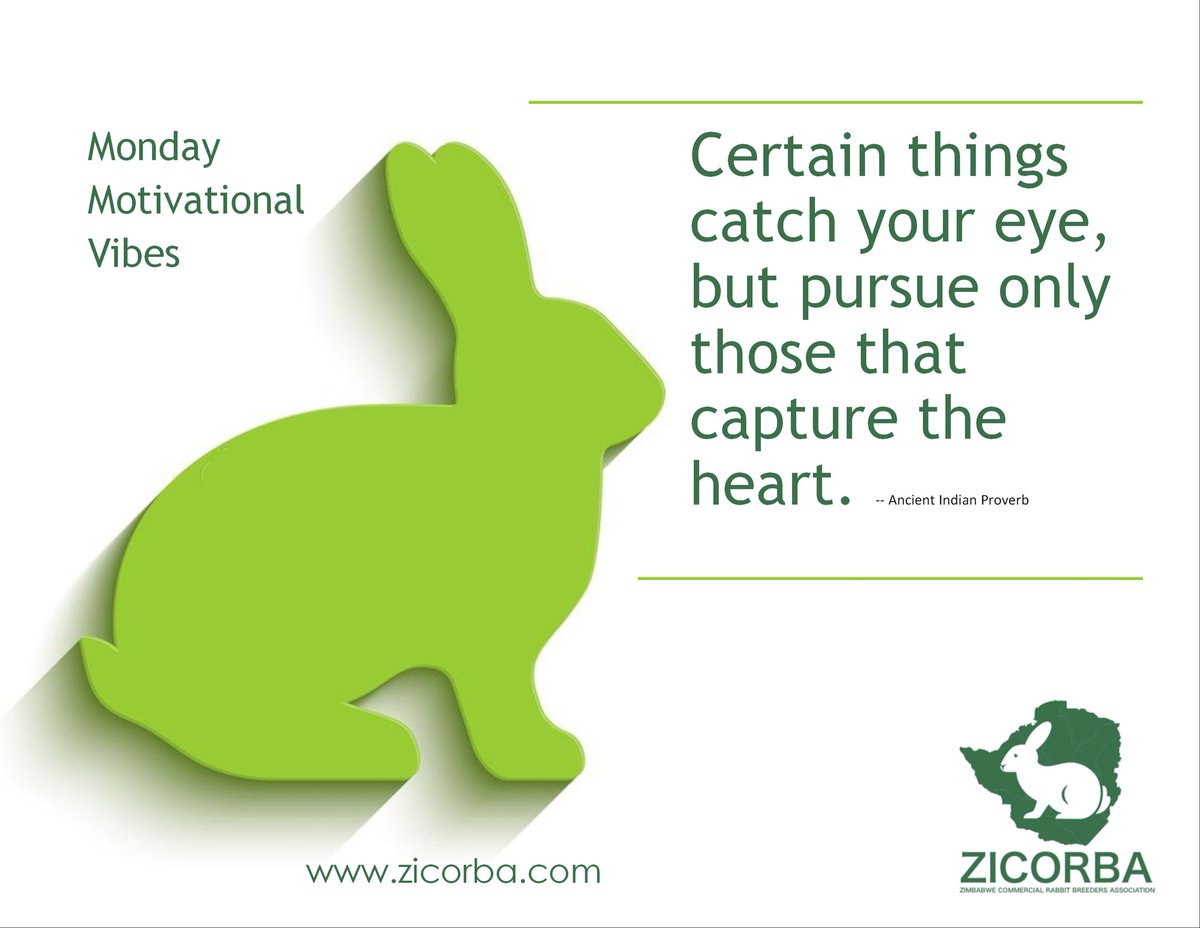 RabbitZimbabwe's tweet photo. Monday Motivational vibes ✨️ 
Happy New Week, rabbit farmers!
#rabbitfarming 
#letsmakezicorbagreat 
#healthymeat 
#zicorba https://t.co/lVtXnYmOcj