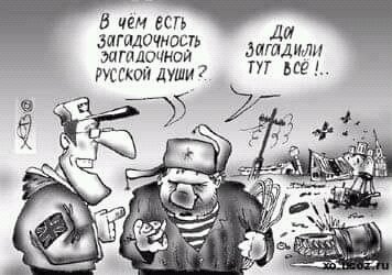 Оливия tweet media