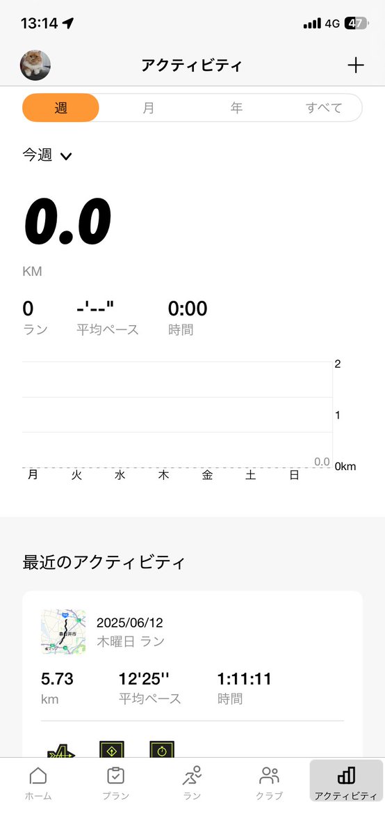 キンちゃん tweet media