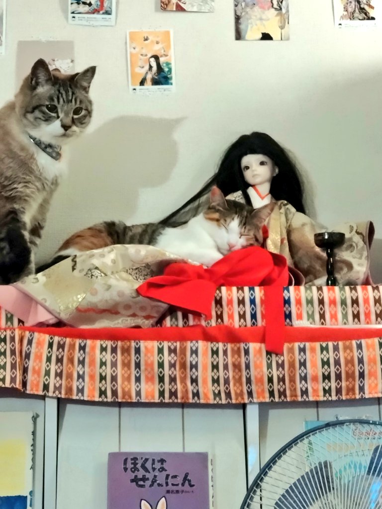 rinpotie's tweet photo. 猫のゴハンがお安く買えたのでホクホク
今日はもう少ししたらはに丸を連れて動物病院に行くよ https://t.co/ArYHfMdonk
