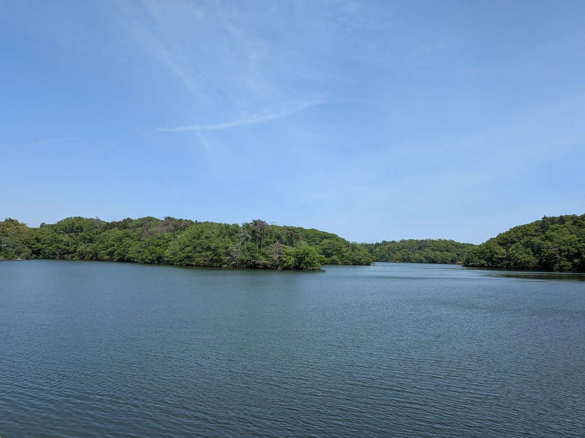 【本日の風景🌳】
モリリン加瀬沼公園
宮城県利府町

#モリリン加瀬沼公園
#利府町
