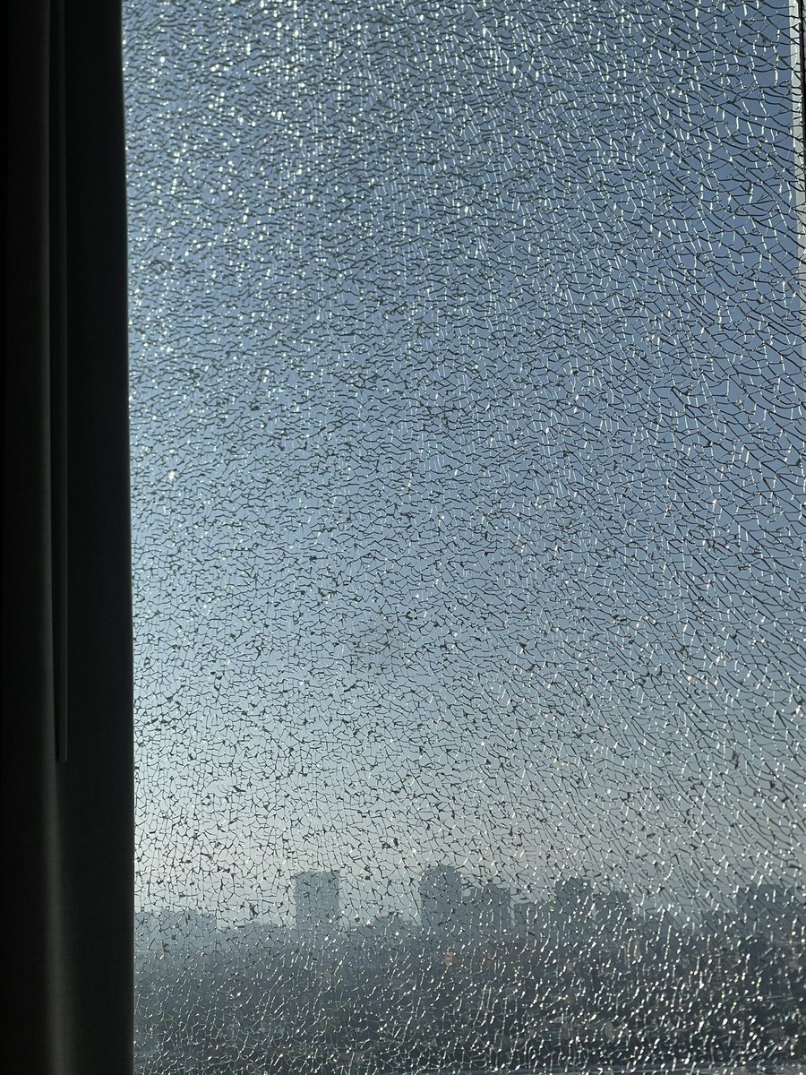 Epiphany850's tweet photo. Played VGC this weekend, Had my hotel window shatter, watched a factory burn, and learned about Salt Lake City Utah. Thank you Los Angeles. Next stop world championship in San Fran(to spectate). https://t.co/RyMhV0FcFU