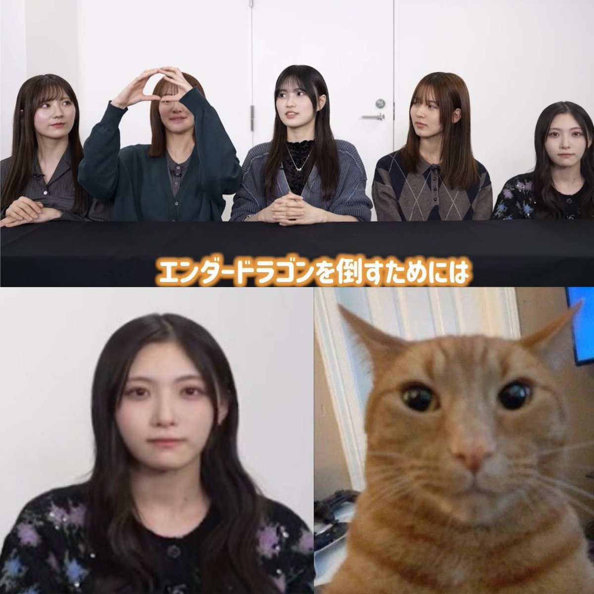 #谷口愛季