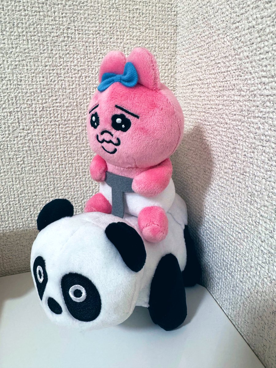 K1Dsssss's tweet photo. (՞· ·՞)🐰´●.̫●`🐼 https://t.co/cQQz386OBY