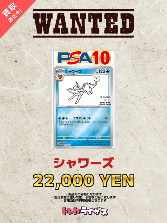 シャワーズv PSA10 鑑定品　オリパ シャワーズv PSA10 鑑定品 オリパ｜Yahoo!フリマ（旧PayPayフリマ）
