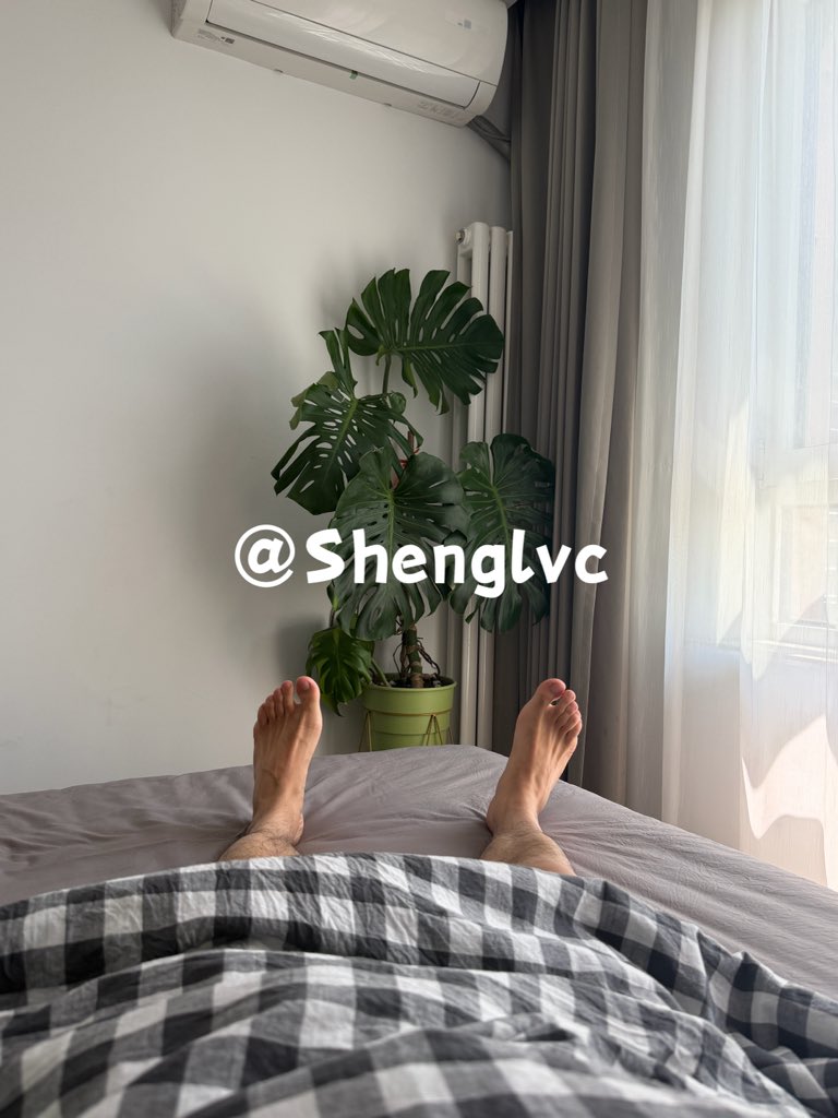 Sheng tweet media