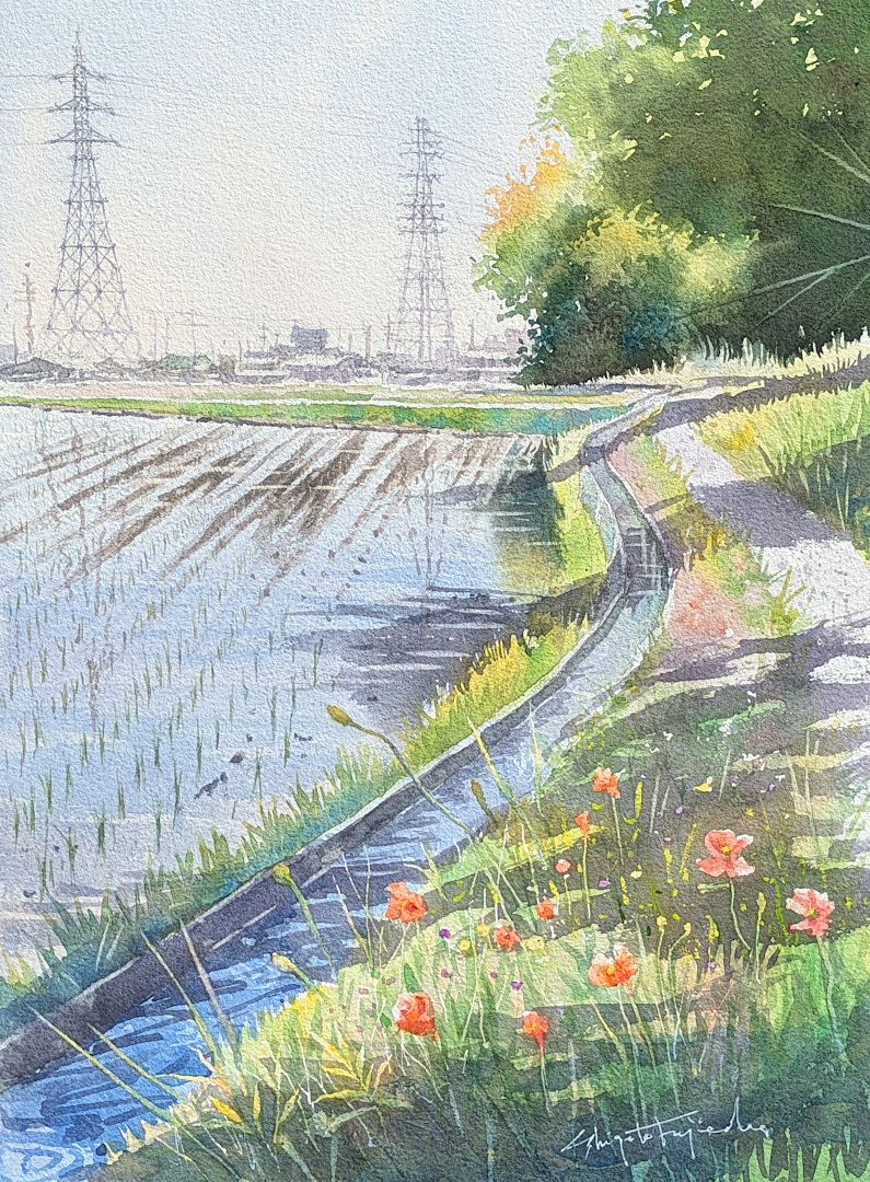 透明水彩 #水彩画 #風景画 #Watercolor #ひたちなか市 #田彦 #田んぼ
