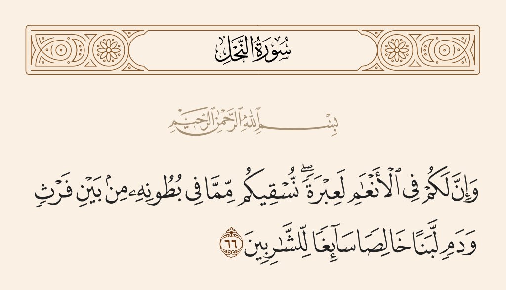 Queengoge's tweet photo. @ar7kami @SfrAlyemany @SaeedAlNaji اضف على ذلك ان الله احل لنا جميع الطعام الا مذُكر تحريمه او مايترتب عليه ضرر حتمي على الجسم
بينما هذا المدلس حرم كثير من الاطعمة منها الحليب ومشتقاته بينما الله ذكر في كتابه انها حلال

هل اصدق هذا الدجال واكفر بدين الله ومانزل الينا؟ https://t.co/KAcFrcfoiD