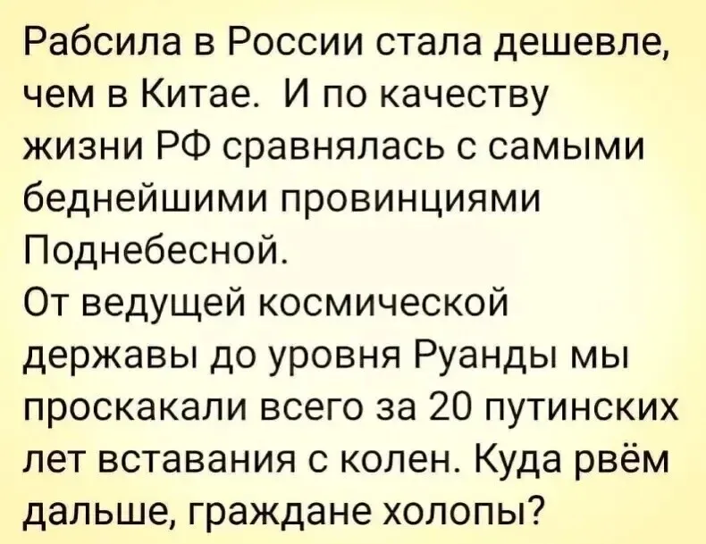 Вера Измайлова tweet media