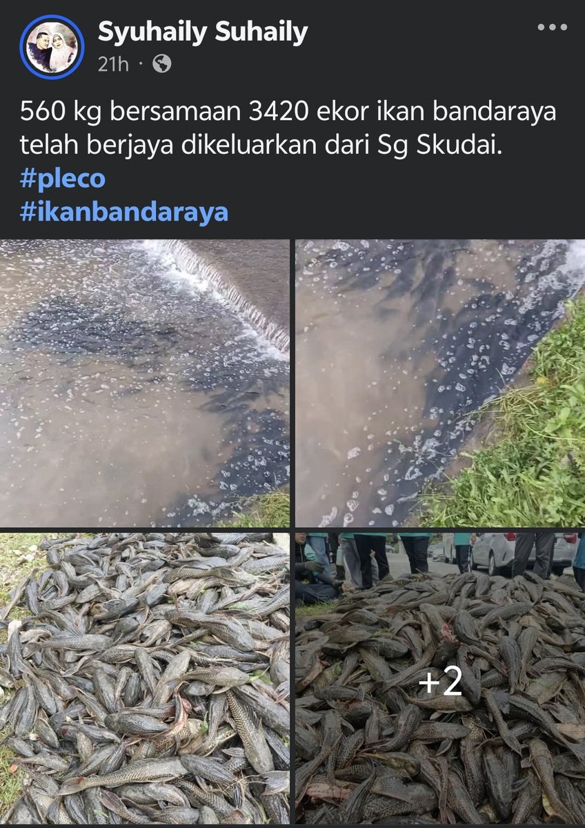 @ tweet media