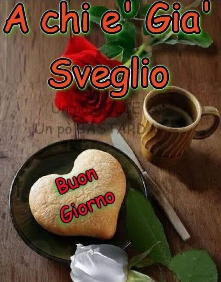 Sergio tweet media