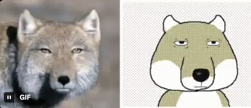 devvv333331310's tweet photo. Square-Faced Tibetan Fox is getting trolled for having the most "memeable face" 😭

fox has unusually boxy face, having striking similarity to viral cartoon character!

it even has own gif page as well!

kinda good no?

https://t.co/hgtTpjE5BY

Tibetan Sand Fox - Meme Fox. https://t.co/mUs90jfgh5