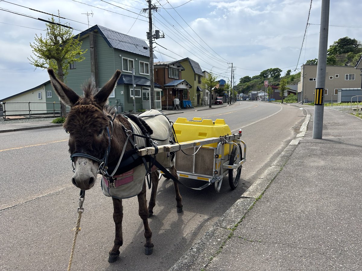 本日、海洋深層水300リットルを運びました。