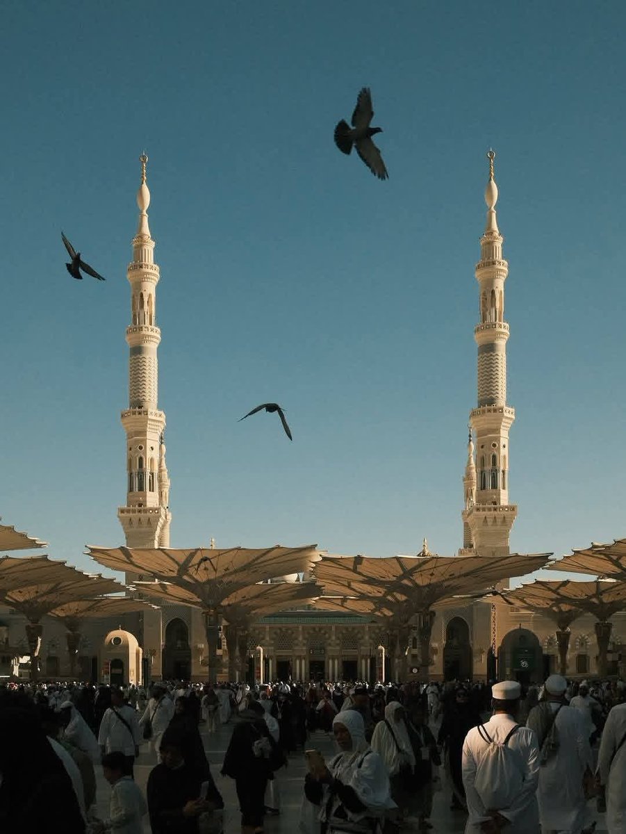 I just want to go to Madinah and cry my heart out.