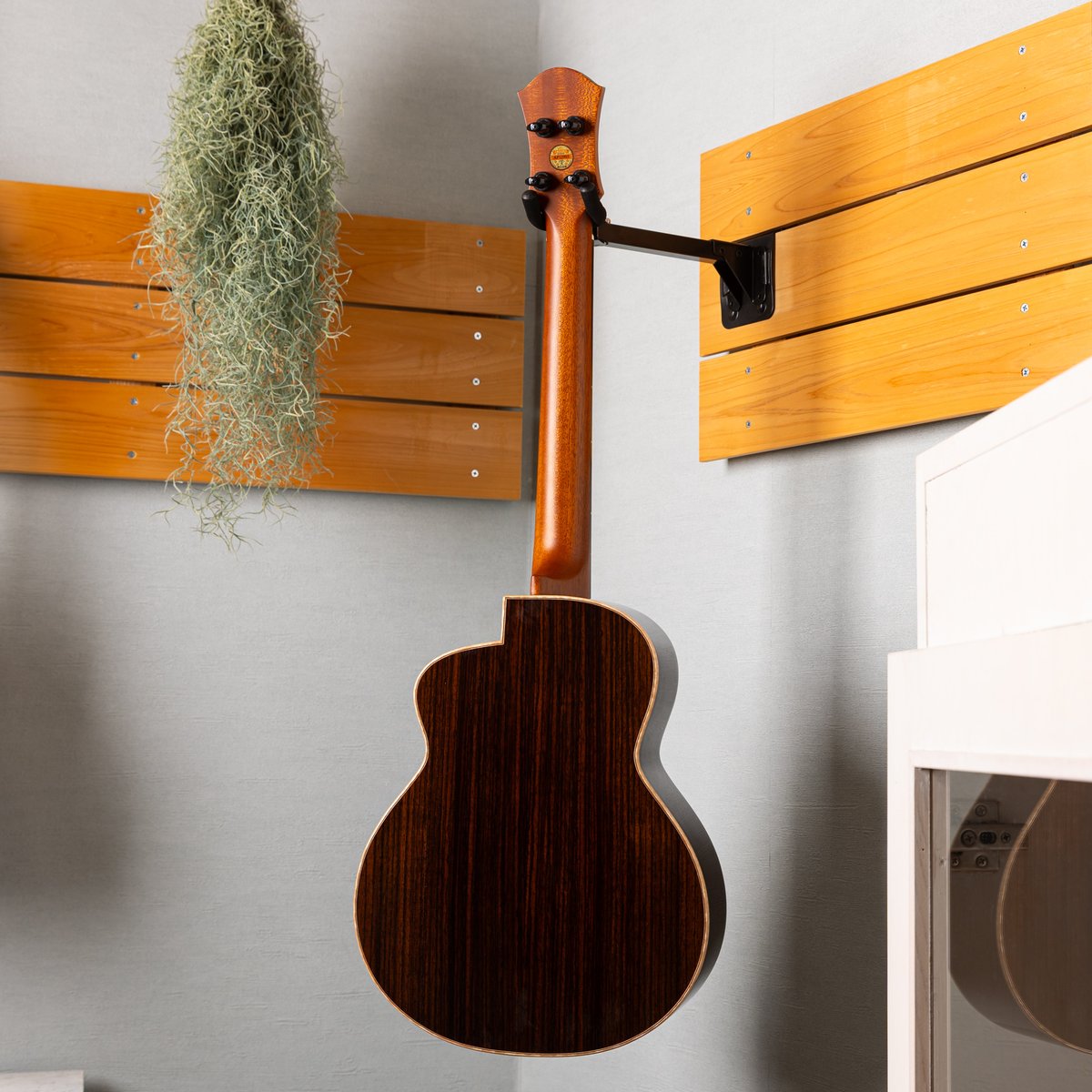 UKULELE BIRD tweet media