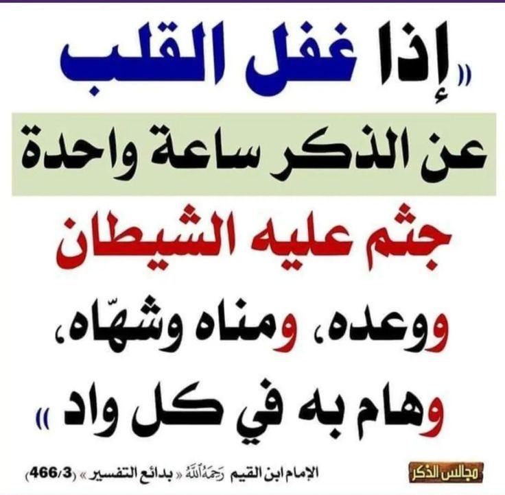 إشراقات سنية tweet media
