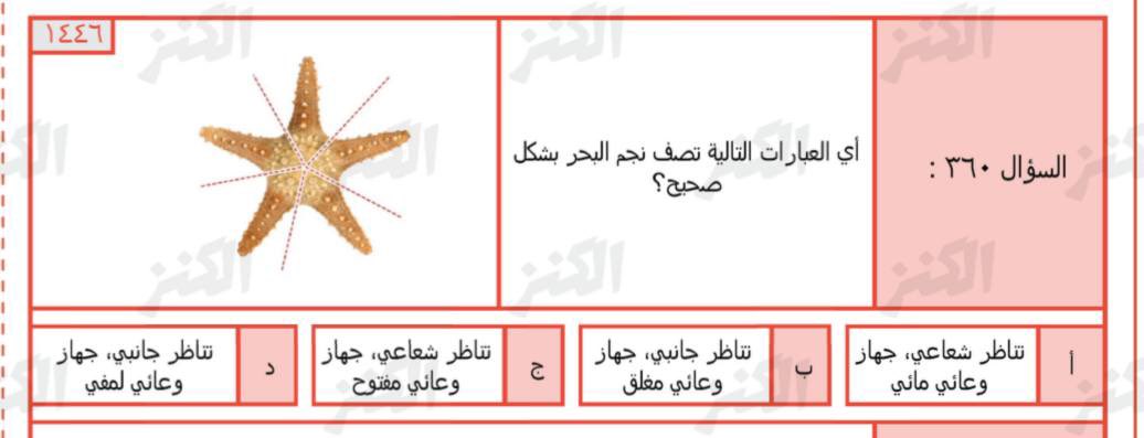 نَجمة tweet media