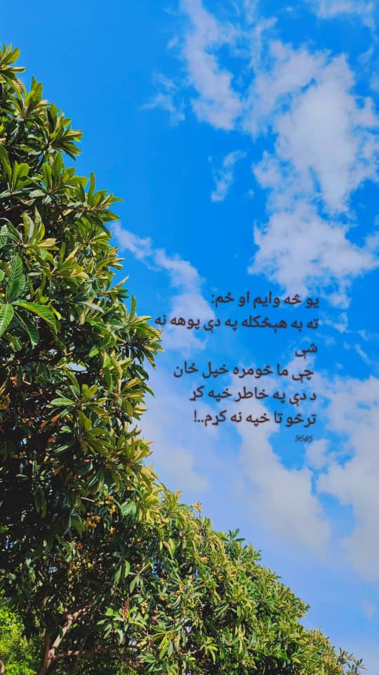 Zabihullahnader's tweet photo. زما په ژوند کره کتنه دې ونه کړه
د یو مات زړه درملنه دې ونه کړه

زه بیخي سختو حالاتو کې راګیر وم
 تش په خوله باندې پوښتنه دې ونه کړه
⁹²²⁴ 😓 https://t.co/BinAmVEMlW
