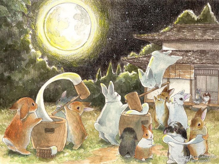 softly magical°🦢♡ tweet media