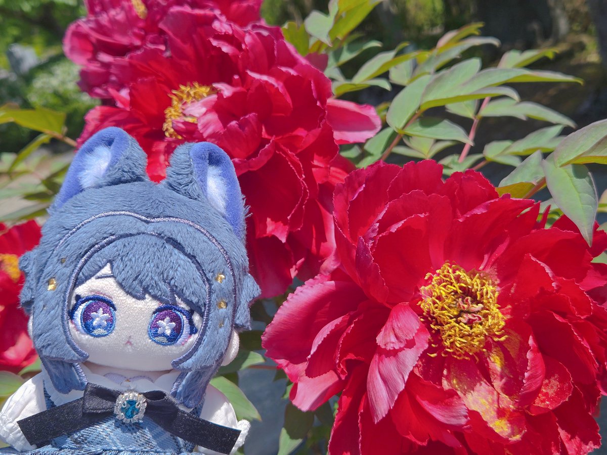 一榎。 いちぴっぴ(み) tweet media