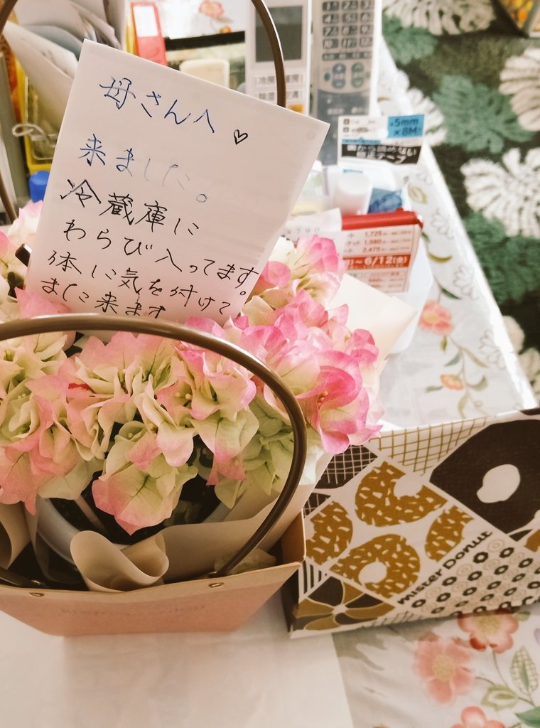 j9d5pv's tweet photo. 日曜日は母の日で実家へ。
しかも母ちゃんいねーし⋯

そしたら風で雪囲いが崩壊したとの事で今日はそれを直しに再び実家へ。
壁繋ぎ付けて、ガスの囲いには雪ガードの戸も付けたぜ〜

歳取ったな⋯母ちゃん
昔はあんな派手だったのに
苦労かけたもんな
長生きして下さいね⋯ https://t.co/aW4QAmYaLY
