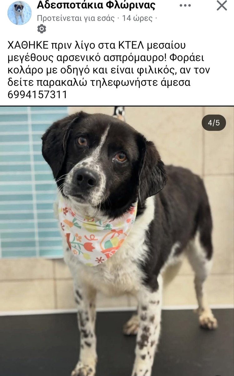 Χλε_Μπονα Σαμερ tweet media