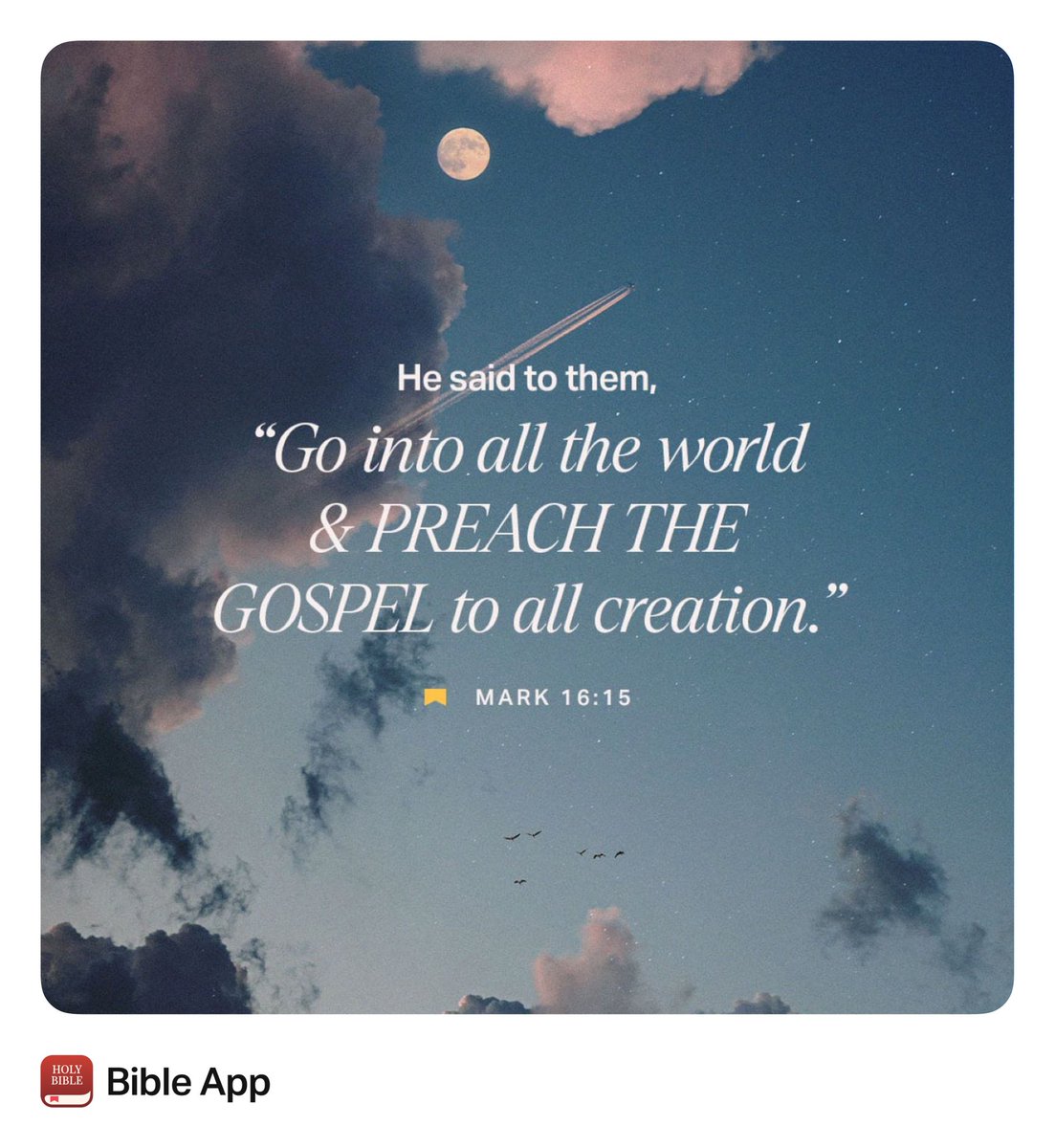 “He said to them, “Go into all the world and preach the gospel to all creation. Whoever believes and is baptized will be saved, but whoever does not believe will be condemned.”