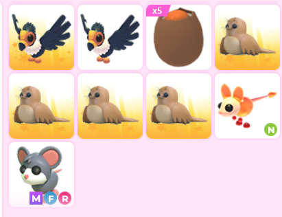 chipy 🐿️ tweet media