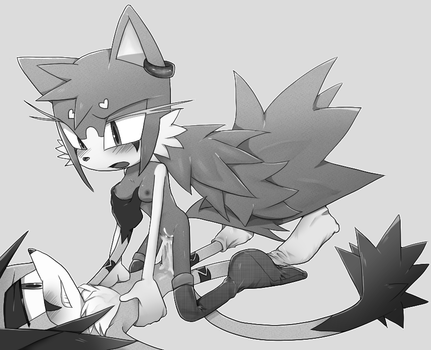 Etherspear's tweet photo. Comission for me with my Ocs by @Ero_nova_ and her oc's Vespera. Girlfriend of my caracal Yin. https://t.co/1TDdgTgpx1