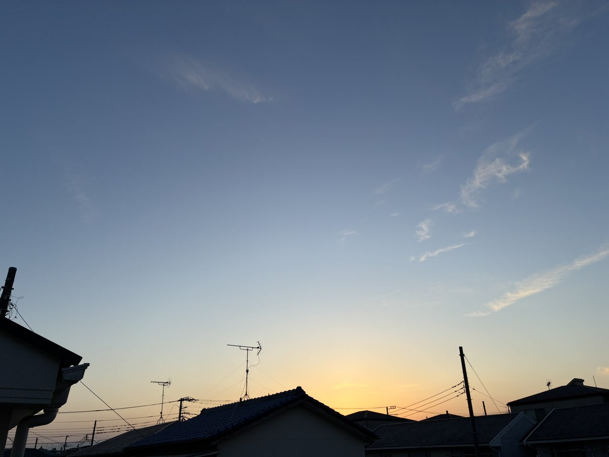 マサオ tweet media