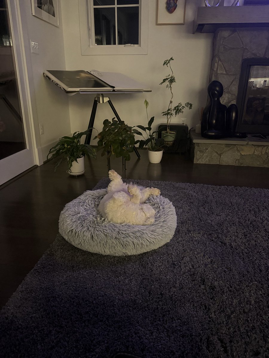 cmgpino's tweet photo. @alivitali @WayTooEarly @gardnerakayla @moses_small @mintimm @HunterMw Up way too early because my wife and I just returned from a work trip to Spain; we are on Spain time - Milo and Theo clearly are not on Spain time! https://t.co/bV8KXu3NKP