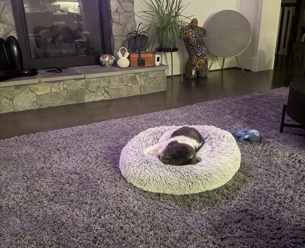 cmgpino's tweet photo. @alivitali @WayTooEarly @gardnerakayla @moses_small @mintimm @HunterMw Up way too early because my wife and I just returned from a work trip to Spain; we are on Spain time - Milo and Theo clearly are not on Spain time! https://t.co/bV8KXu3NKP