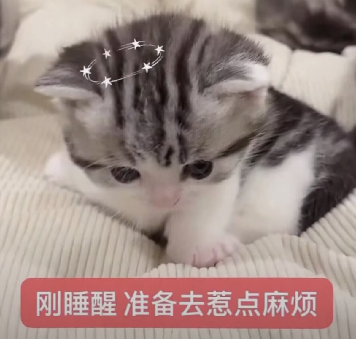 我的日常