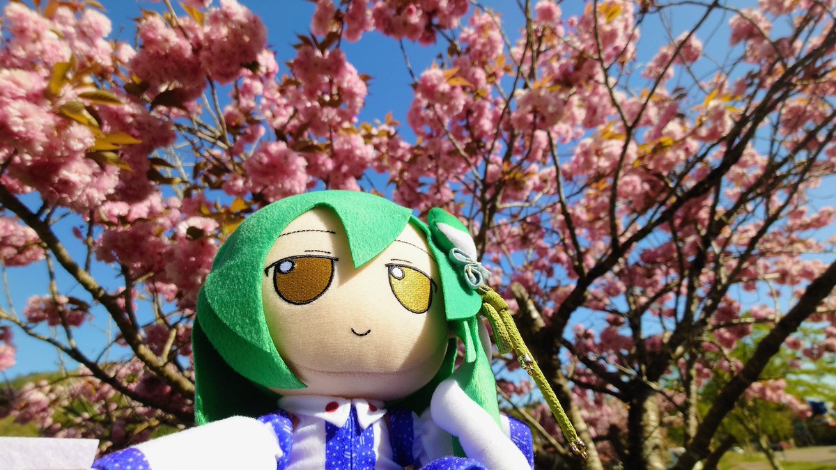 kanami tweet media