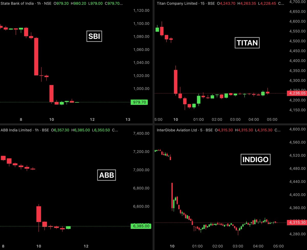 Bull Theory tweet media