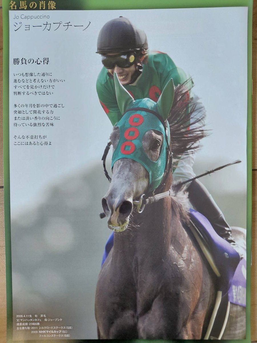 26/05/10 東京競馬場 11R NHKマイルカップ お父さんと同じ舞台( ·̫