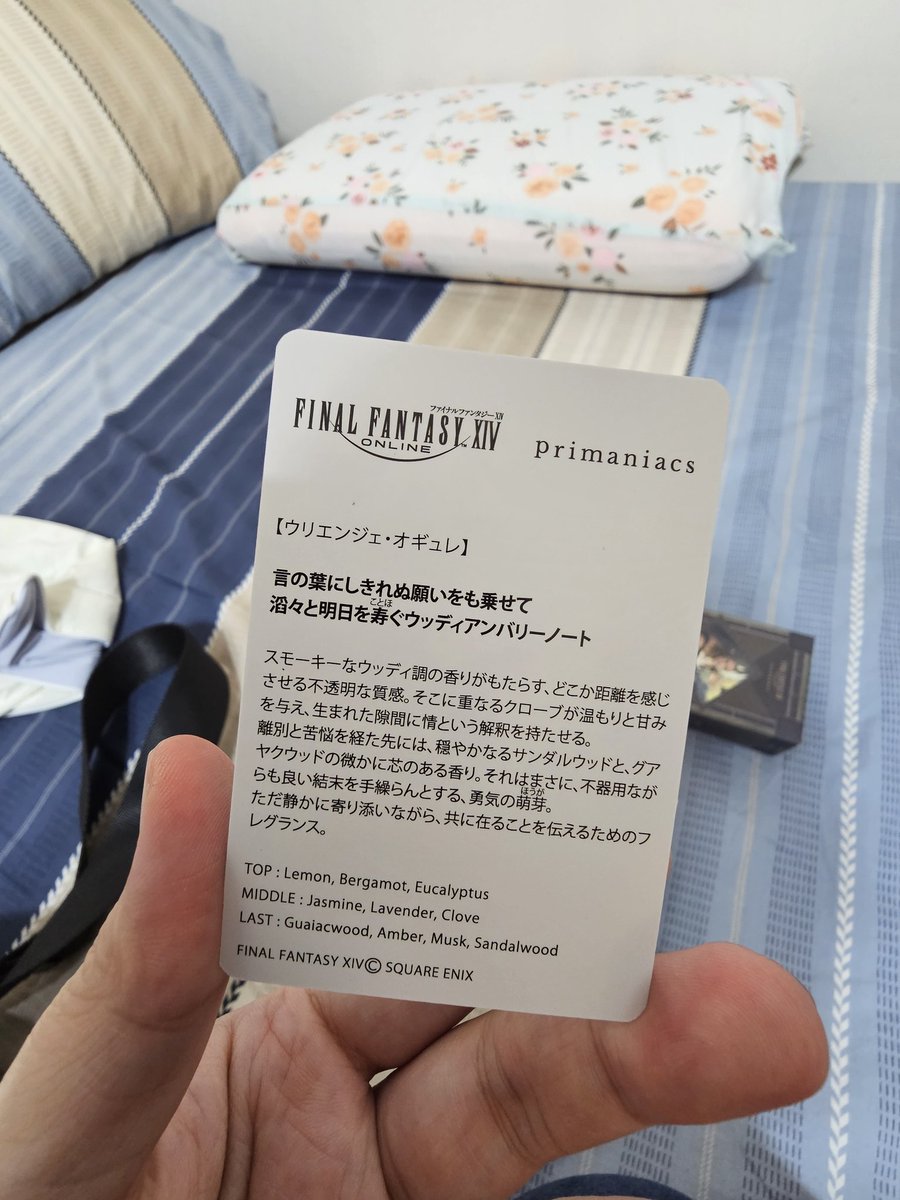 🕊️止樹 tweet media