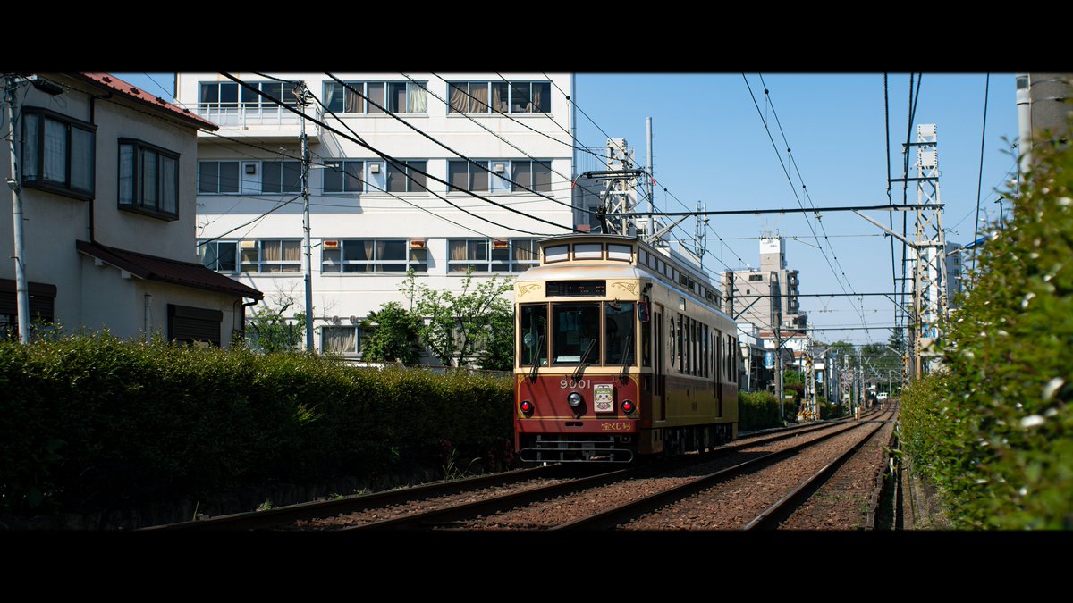 汽澄 tweet media