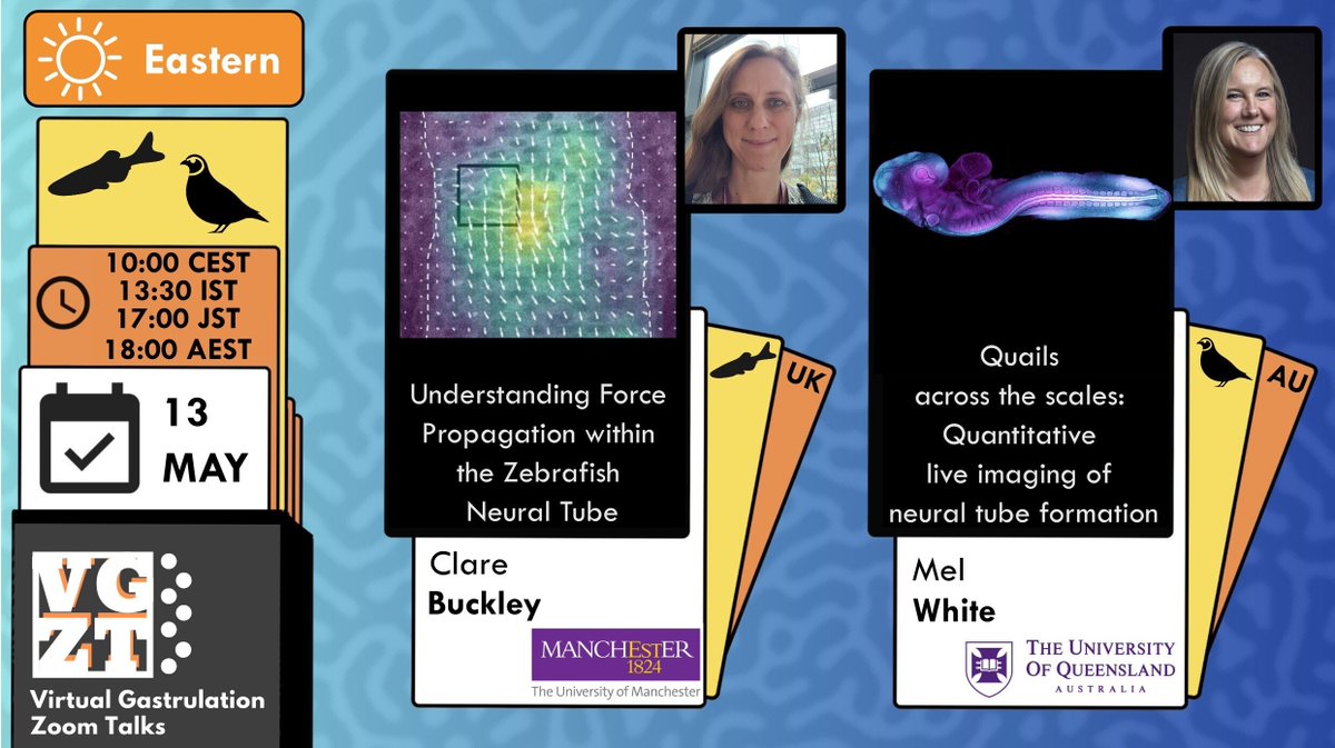 Virtual Gastrulation Zoom Talks tweet media