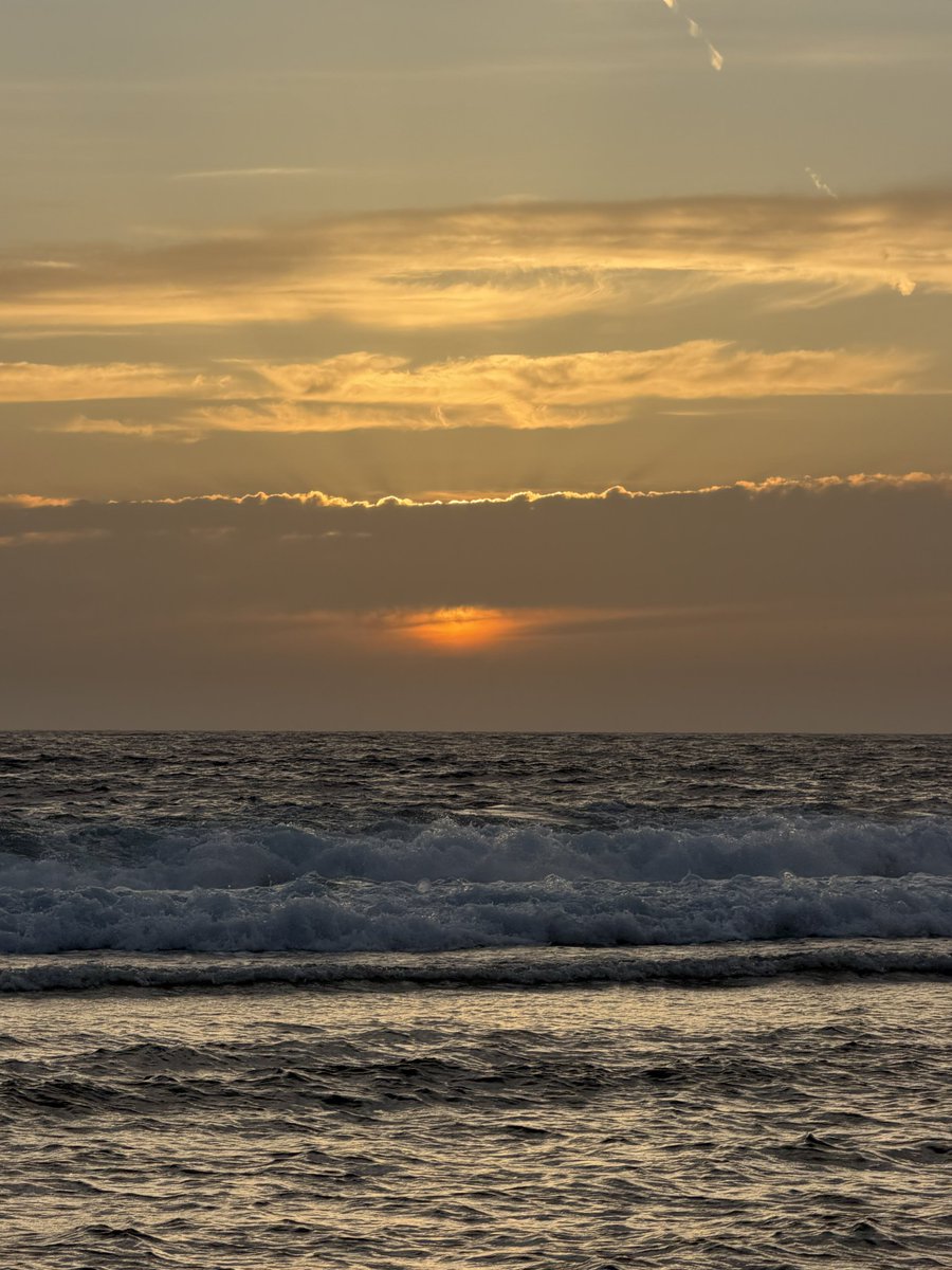 shadesof_nature's tweet photo. https://t.co/X2w3AJk1J5
