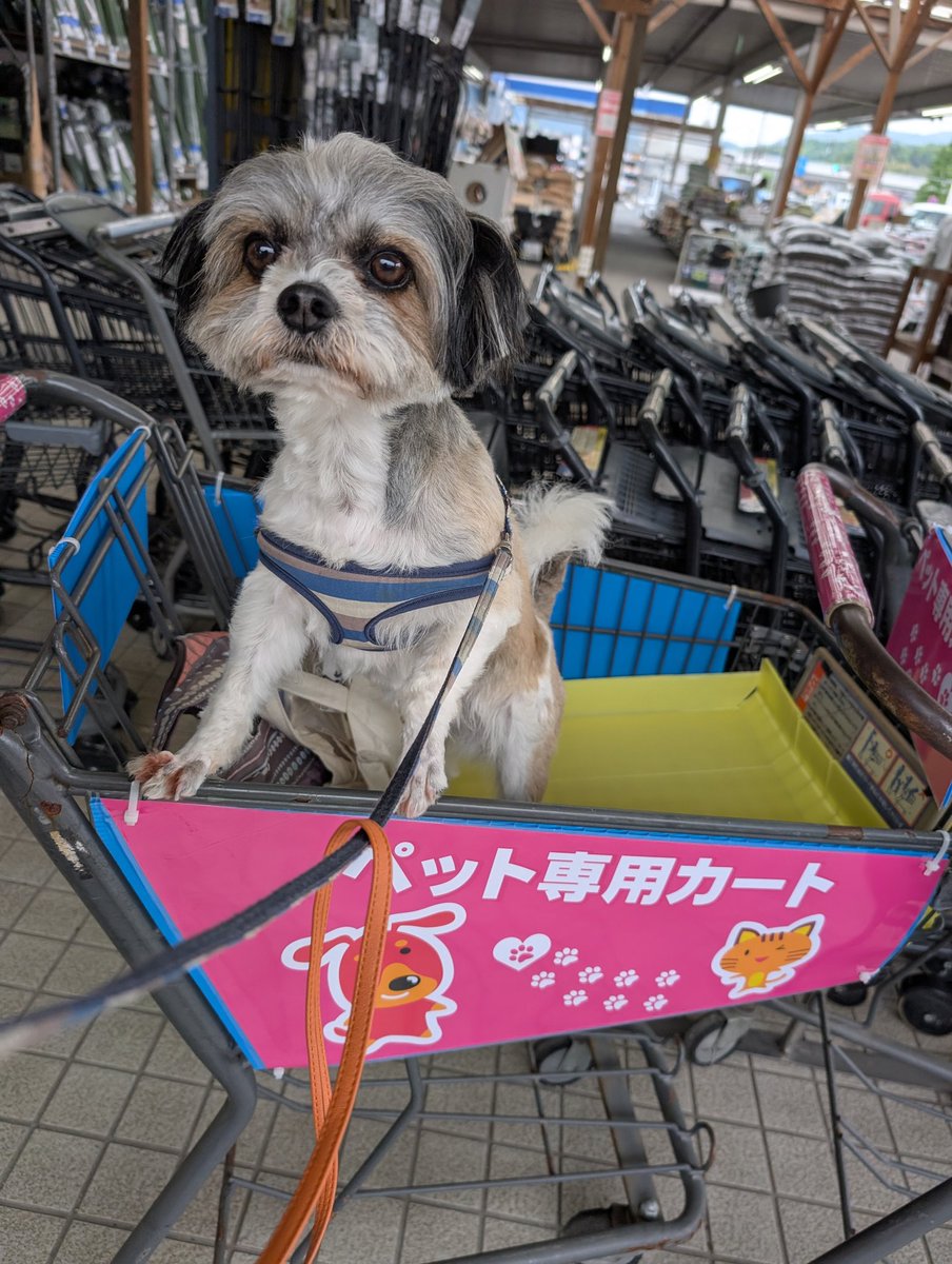 えみお tweet media