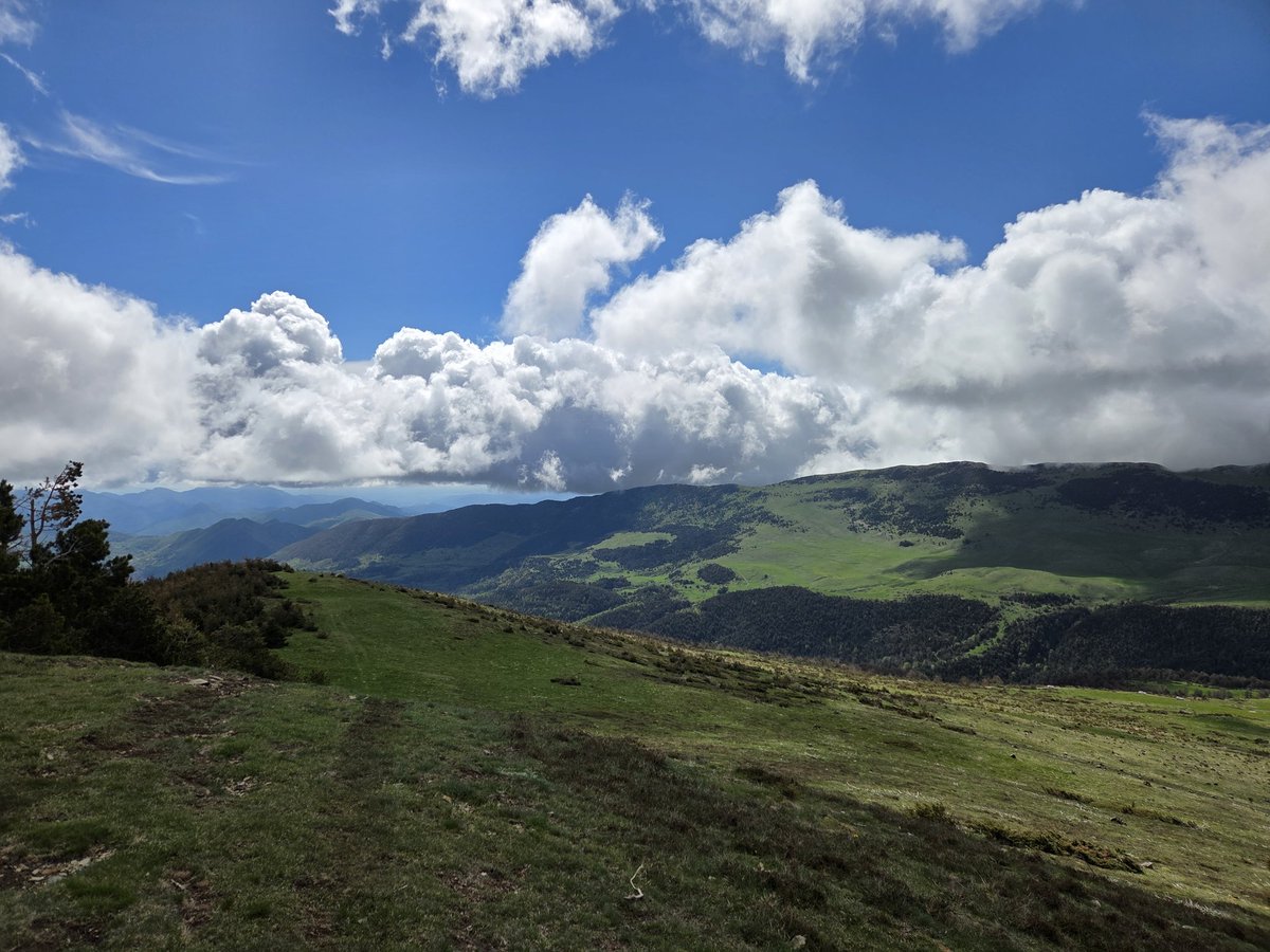 ventlau's tweet photo. Montroig,  a cavall entre la vall de Ribes i la Vall de Camprodon, Ripollès
@3CatInfoelTemps @Vakapiupiu @eloicordomi @TomasMolinaB @mauri_francesc https://t.co/TQFQsAmXcb