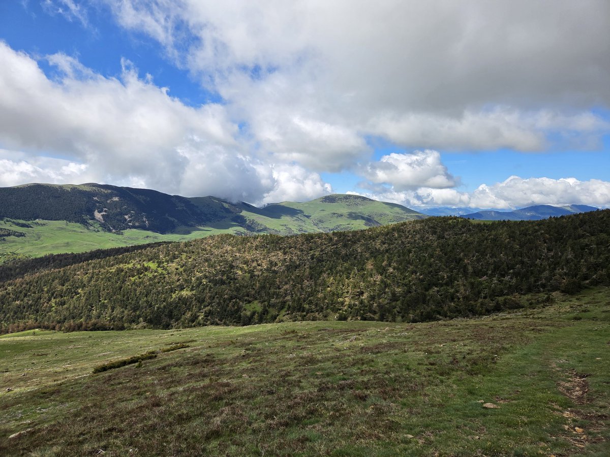 ventlau's tweet photo. Montroig,  a cavall entre la vall de Ribes i la Vall de Camprodon, Ripollès
@3CatInfoelTemps @Vakapiupiu @eloicordomi @TomasMolinaB @mauri_francesc https://t.co/TQFQsAmXcb